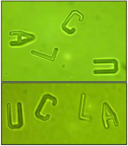 Foto: James N. Wilking/Thomas G. Mason, UCLA Chemistry