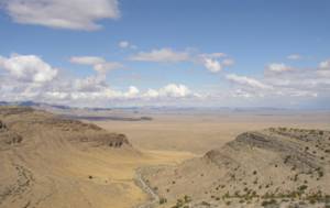 Foto: Ben Gill, UC-Riverside y Harvard University